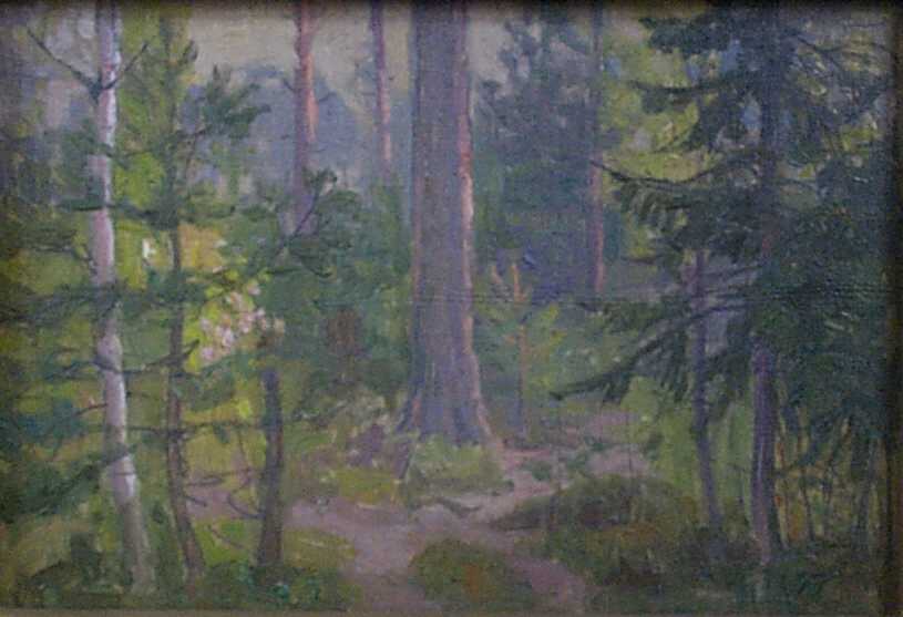 Лес, освещенный солнцем