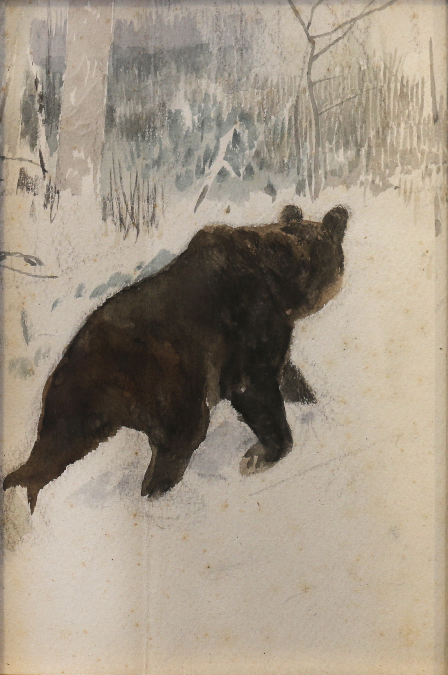 Медведь