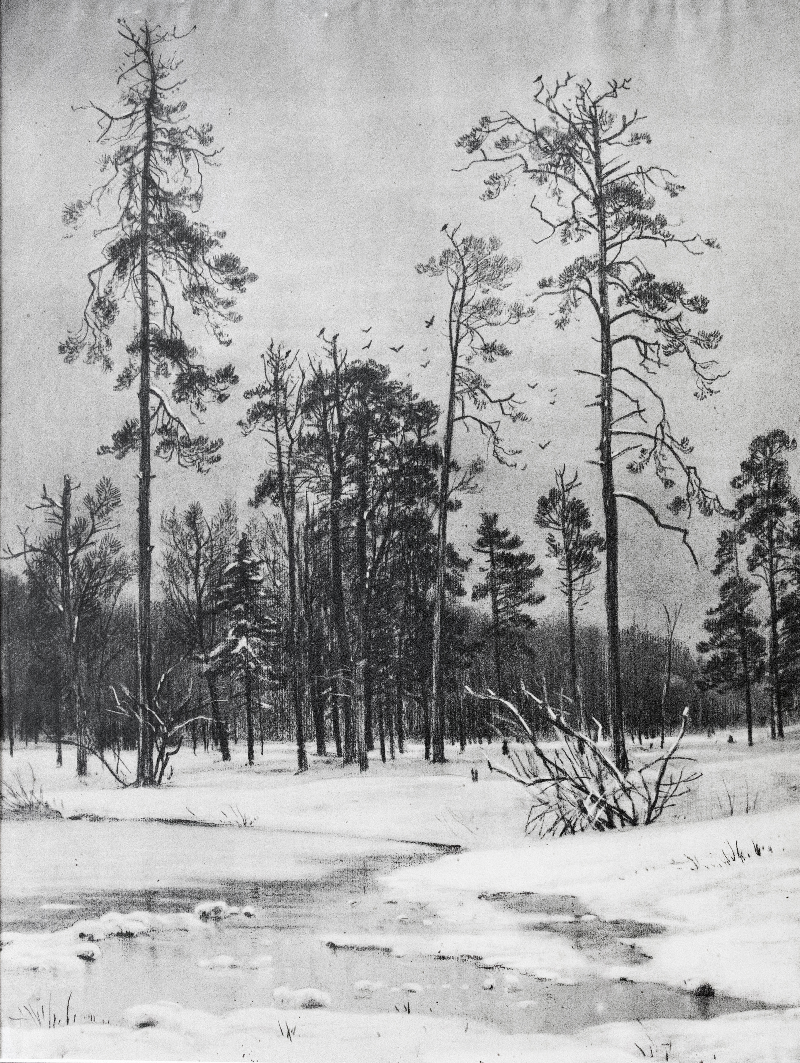 Оттепель