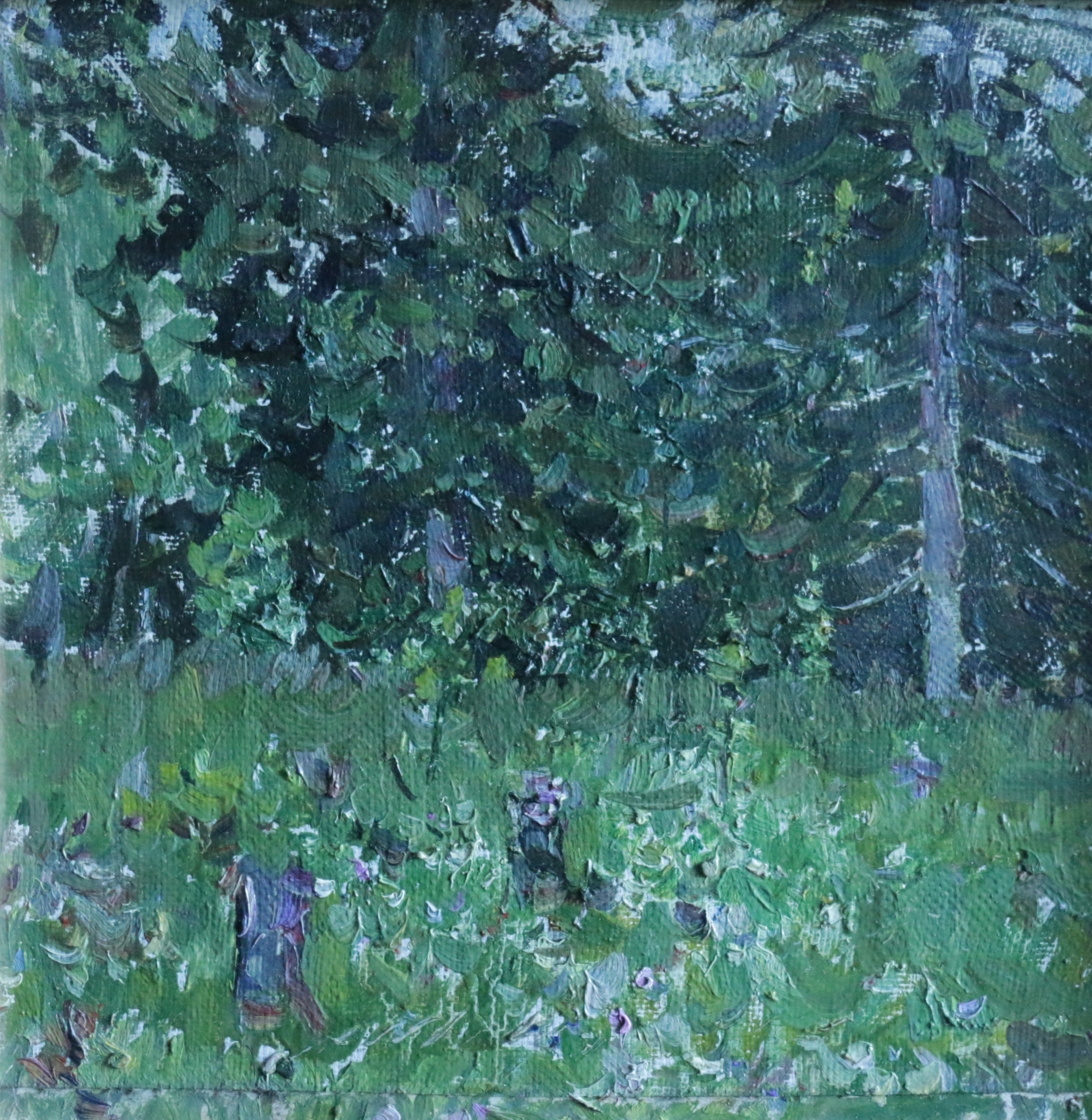 Опушка леса.