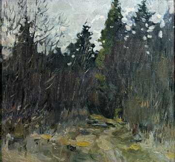 Дорога в лес.