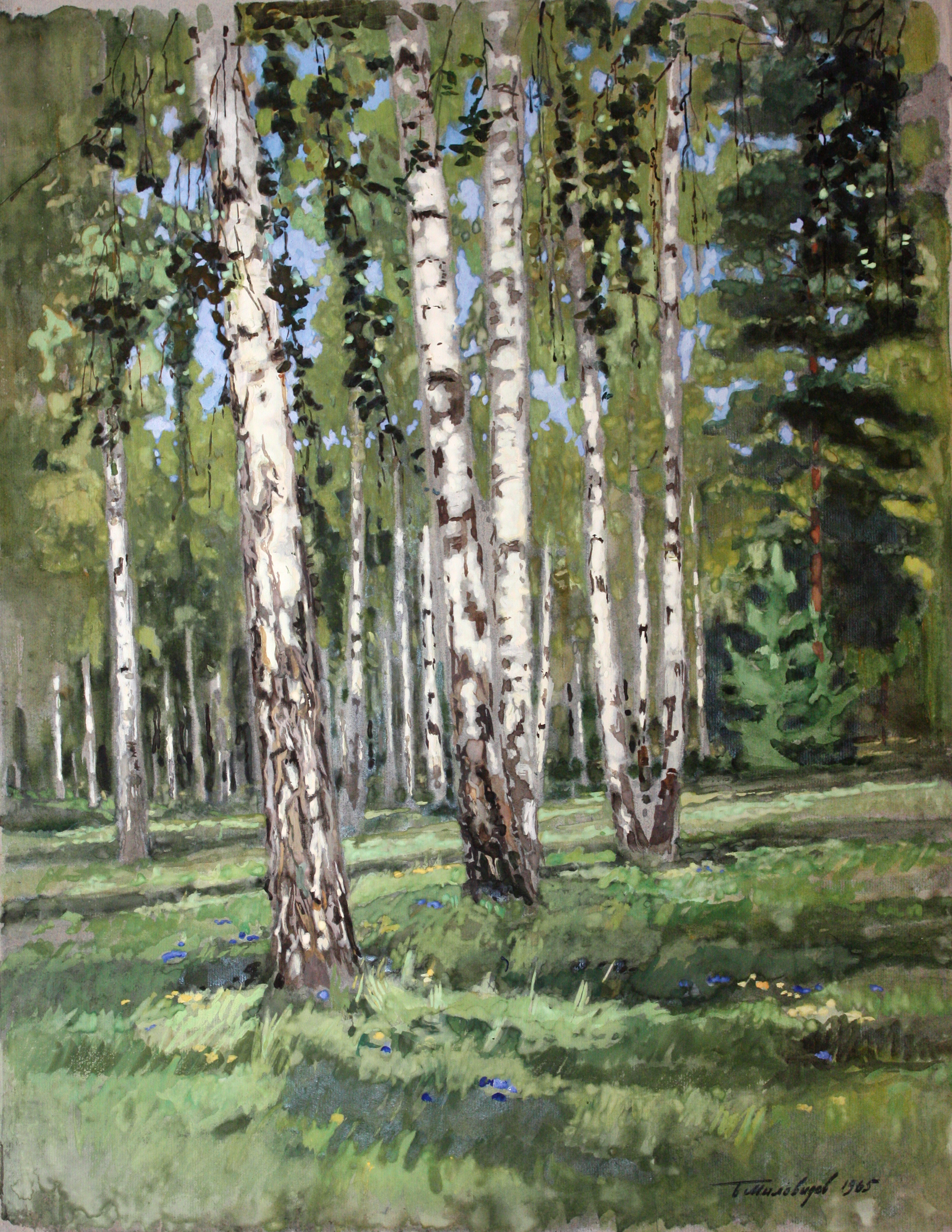 Березы.