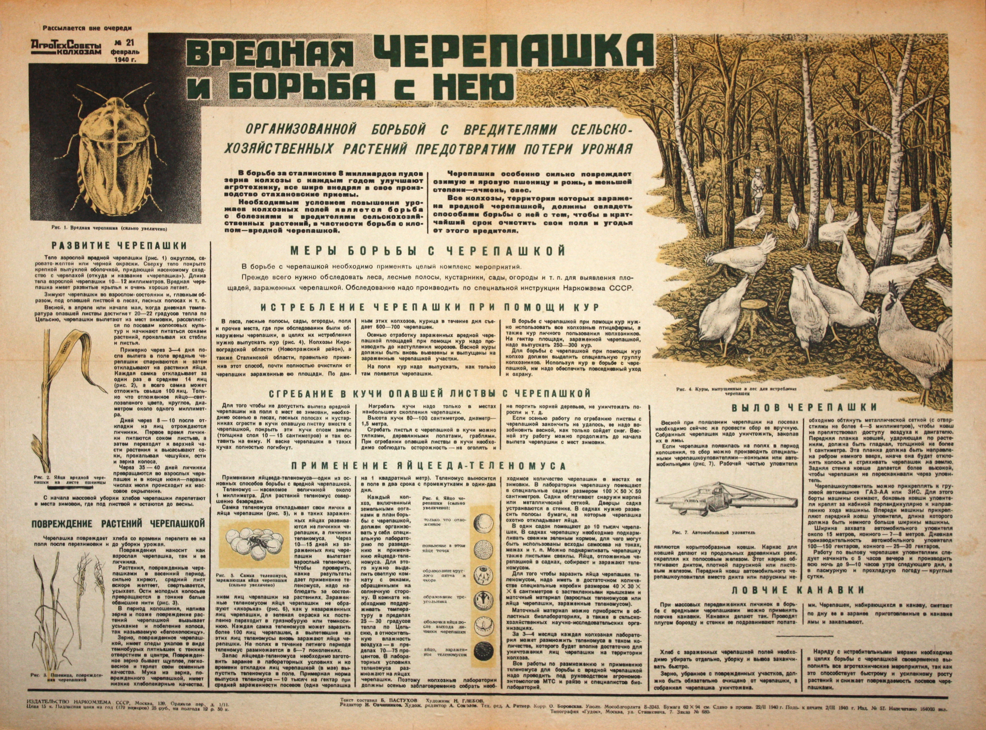 Вредная черепашка и борьба с нею. № 21, февр.