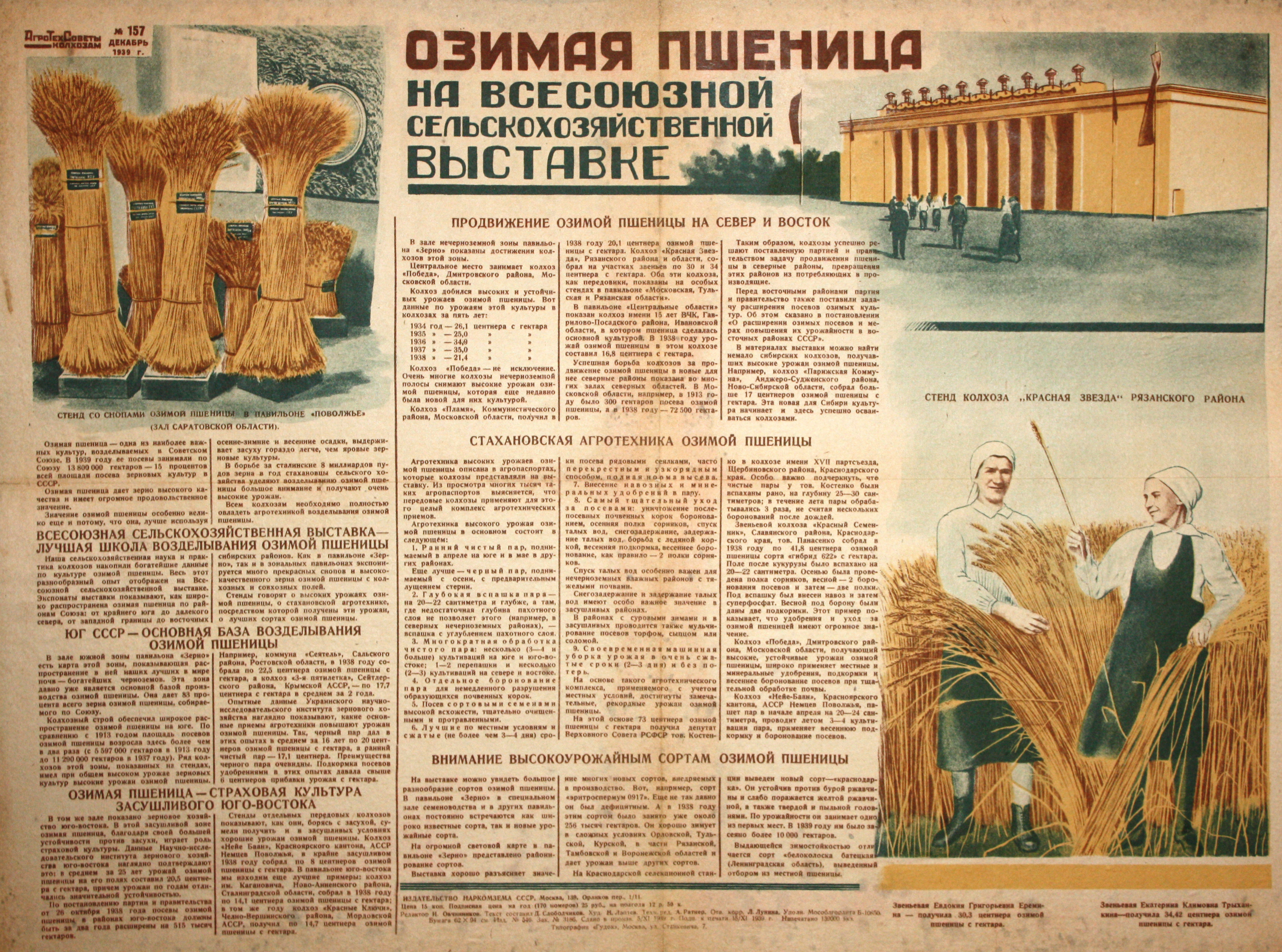 Озимая пшеница на Всесоюзной сельскохозяйственной выставке. № 157, дек.