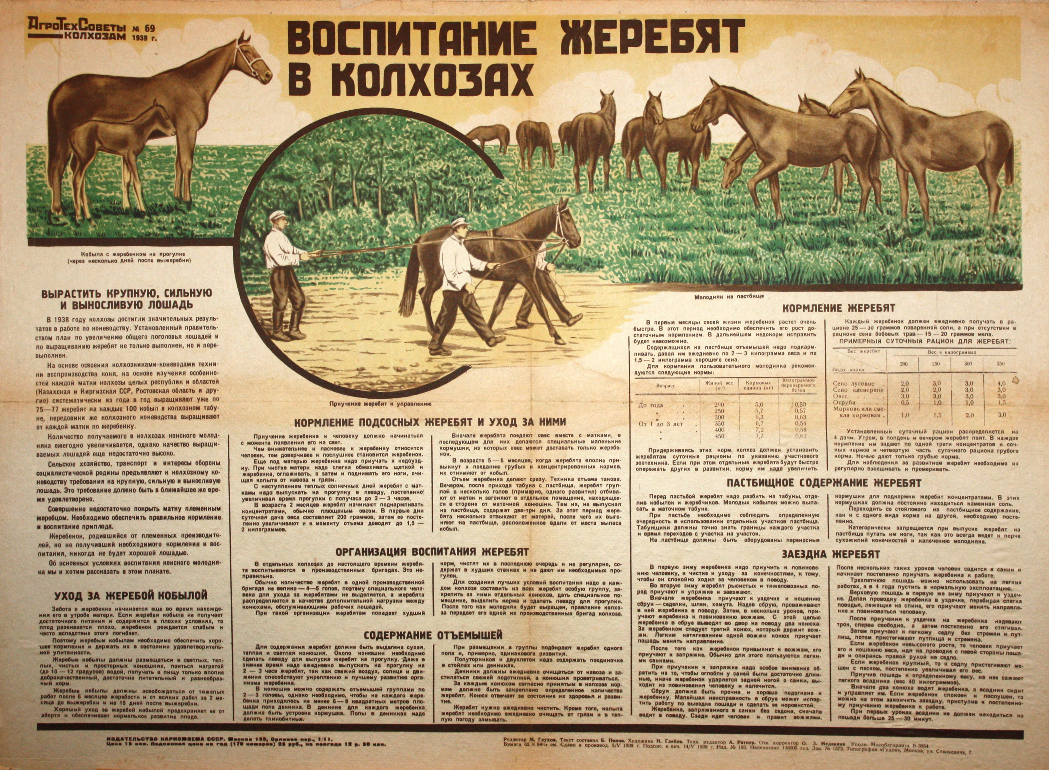 Воспитание жеребят в колхозах. № 69.
