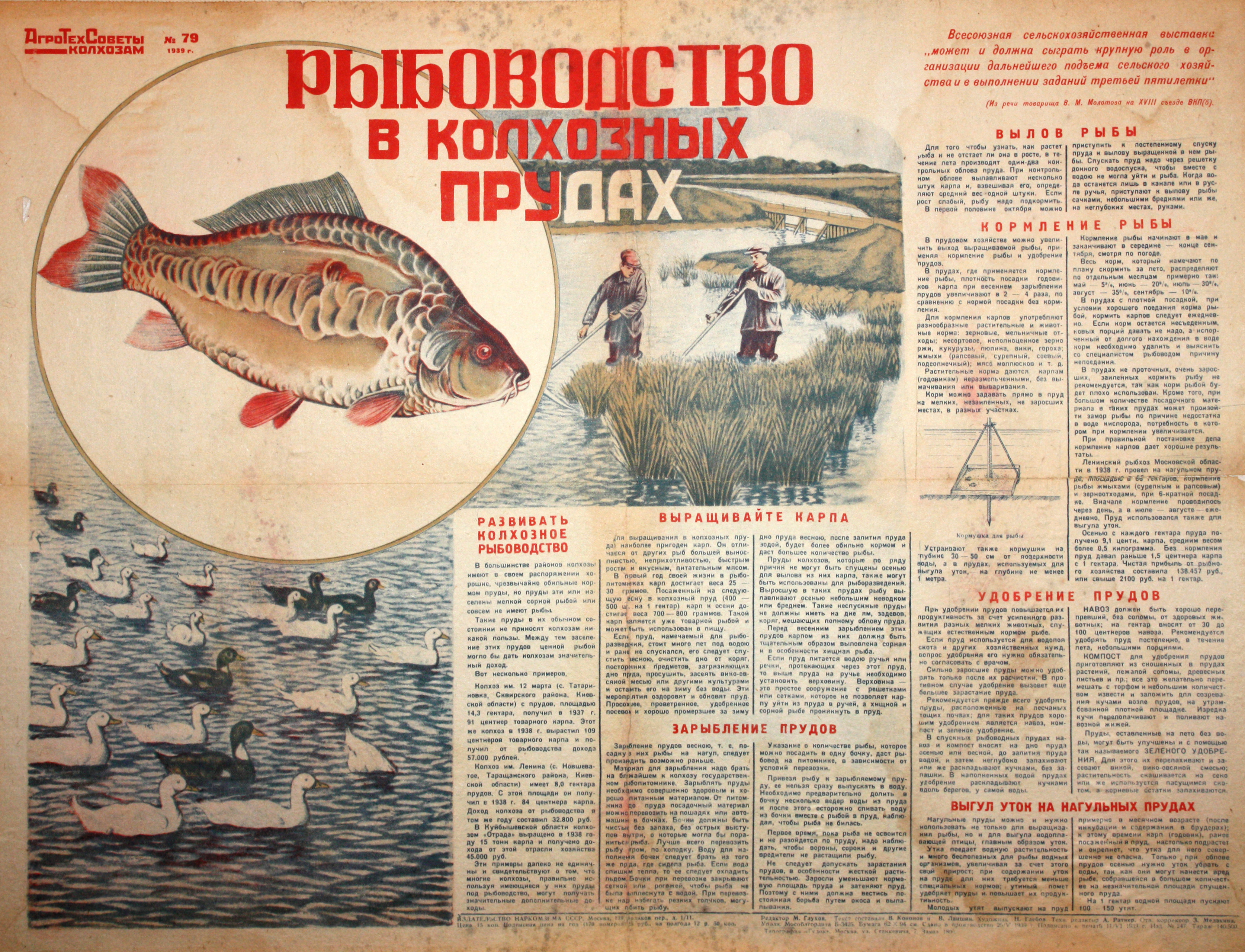 Рыбоводство в колхозных прудах. № 79.