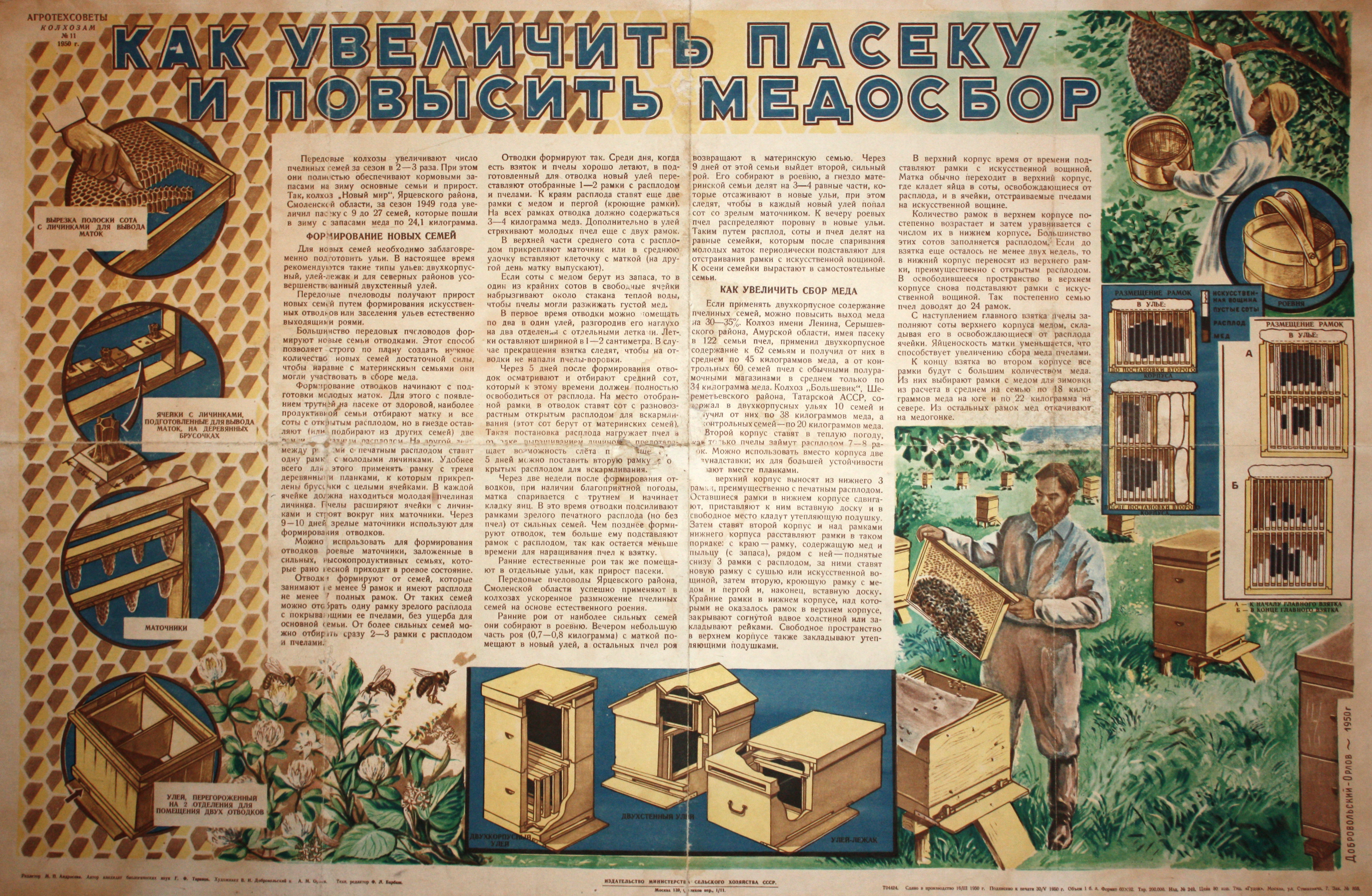 Как увеличить пасеку и повысить медосбор. № 11.