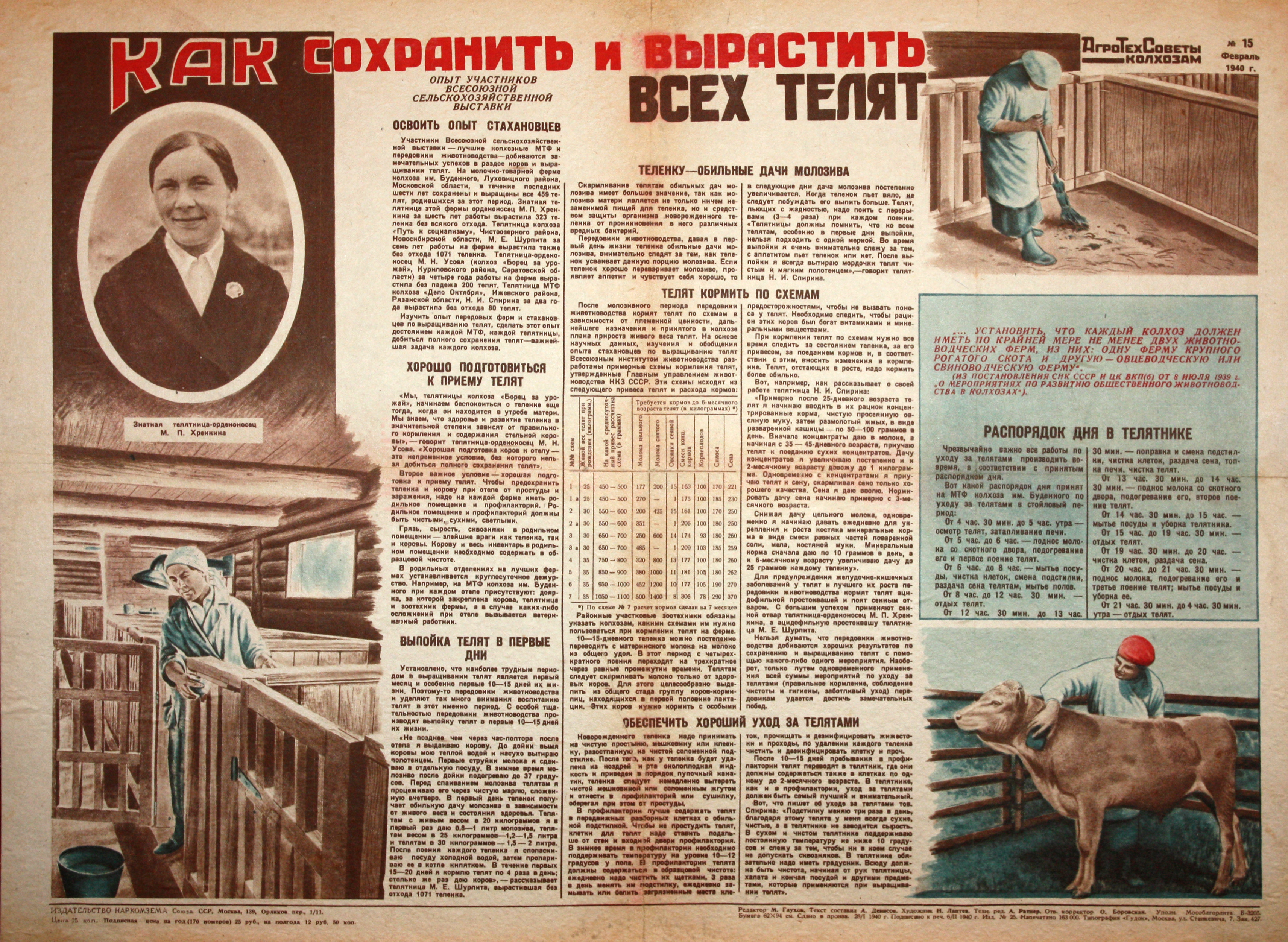 Как сохранить и вырастить всех телят. № 15 февр.