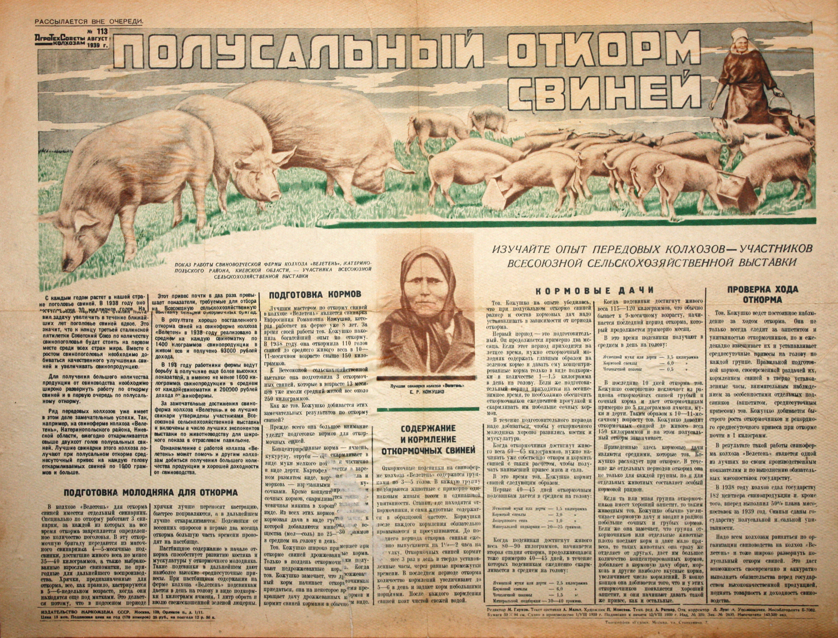 Полусальный откорм свиней. № 113, авг.