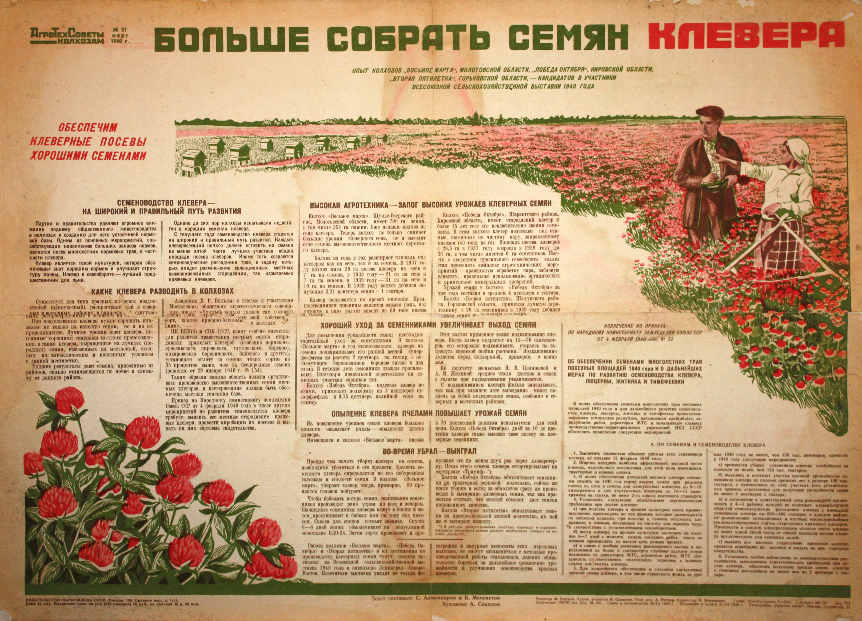 Больше собрать семян клевера. № 31, март.