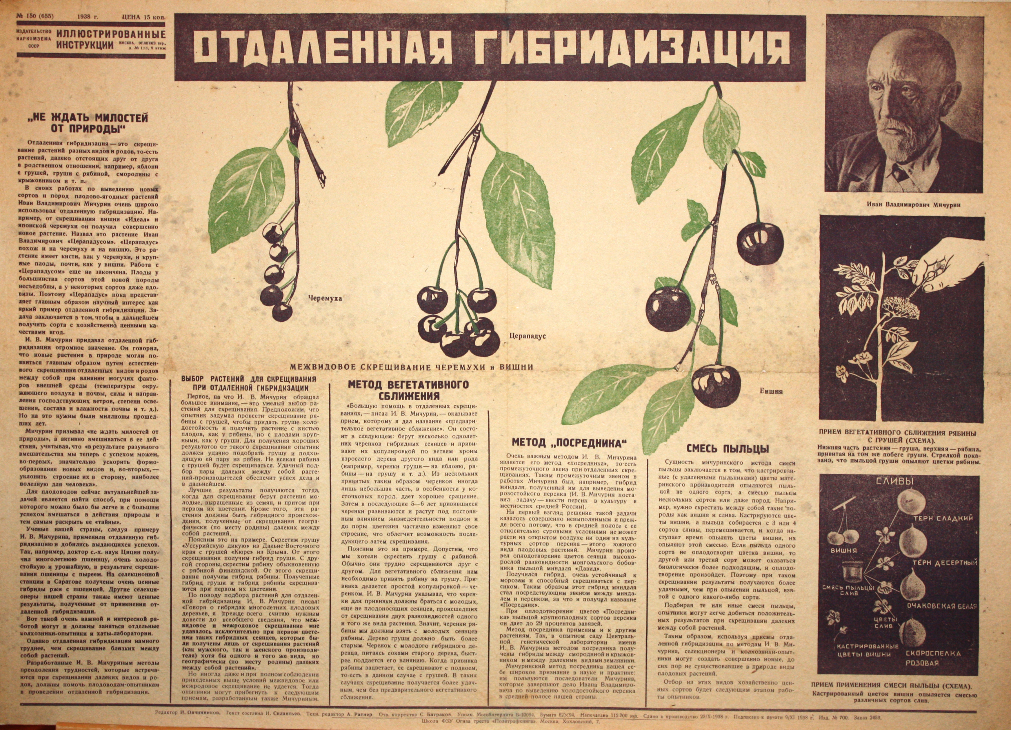 Отдаленная гибридизация. № 150(655).