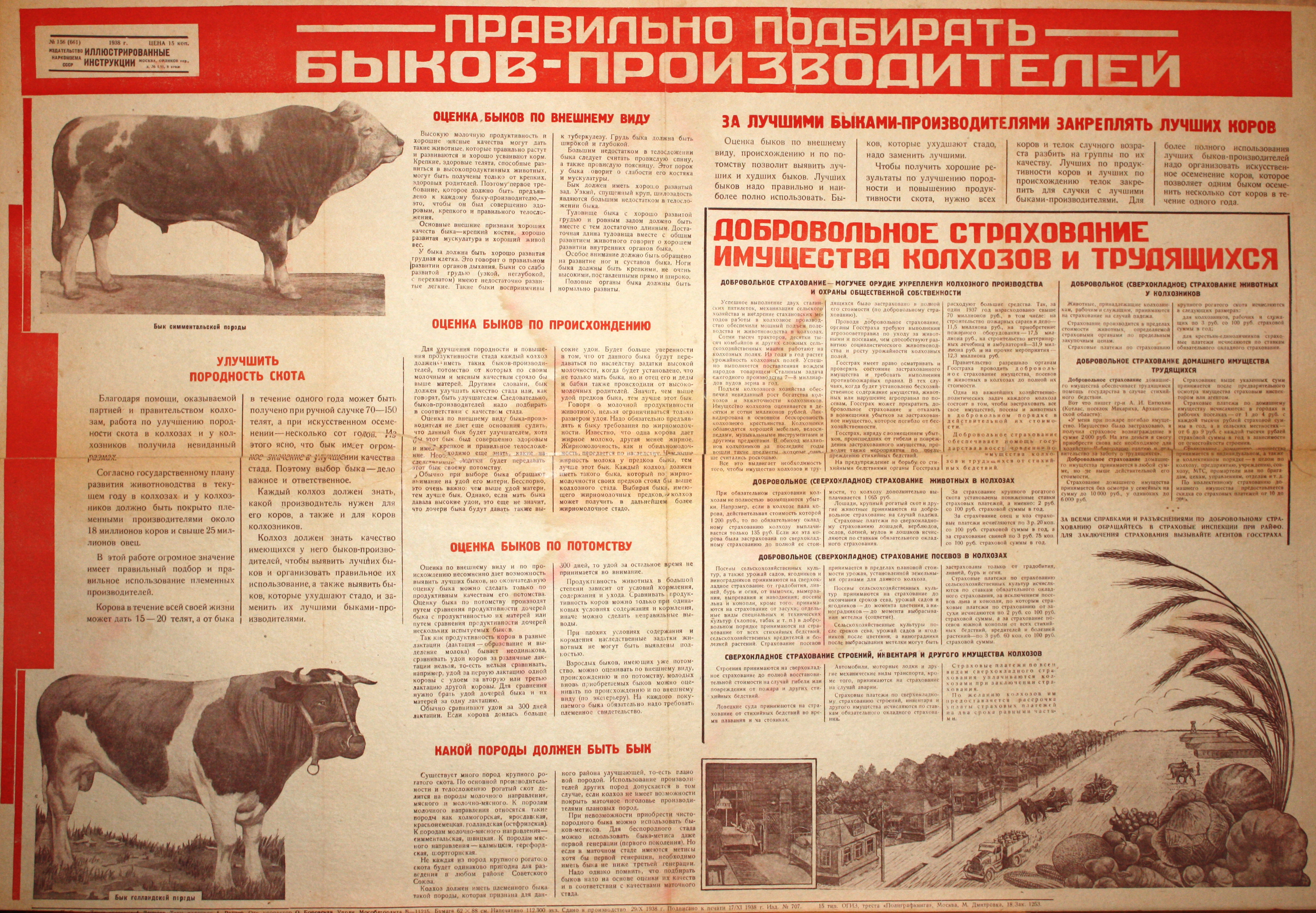 Правильно подбирать быков-производителей. № 156(661).
