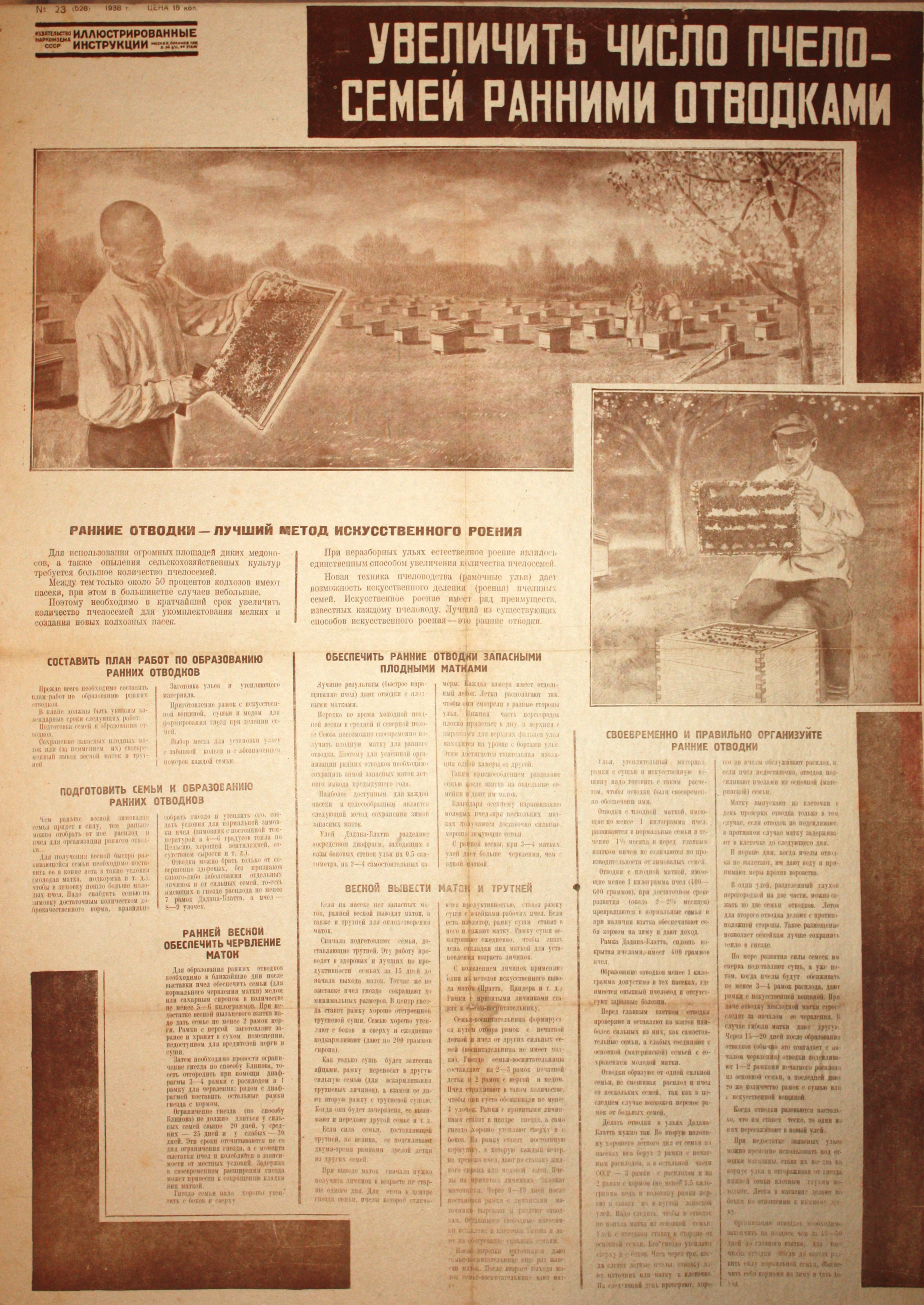 Увеличить число пчелосемей ранними отводками. № 23(528).