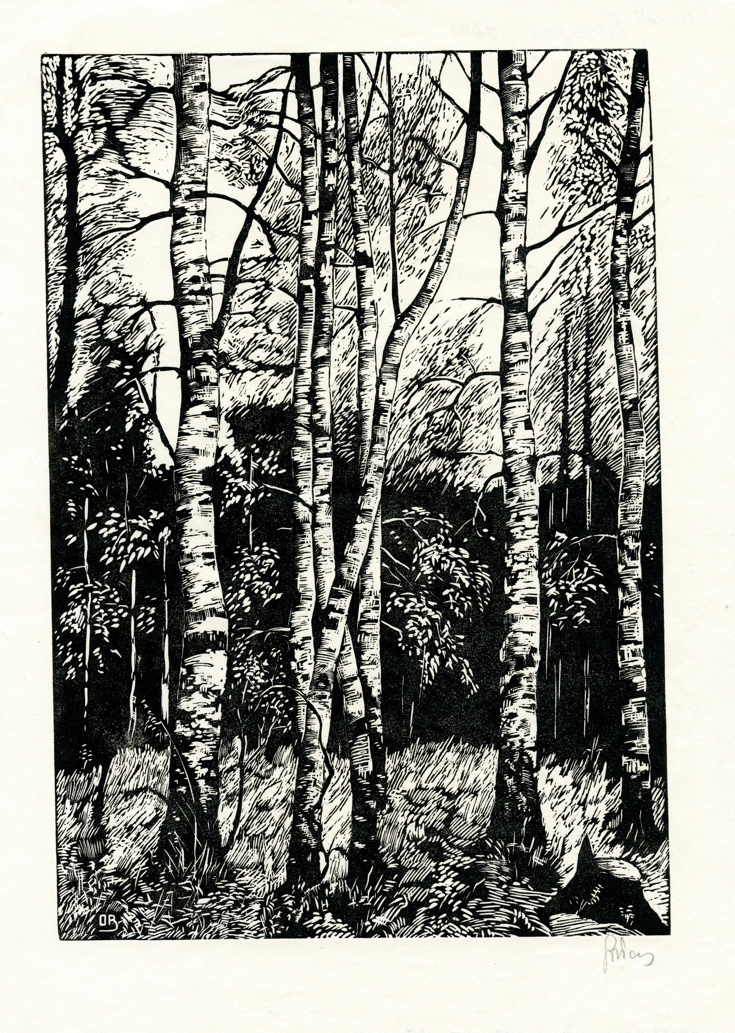 Березки.