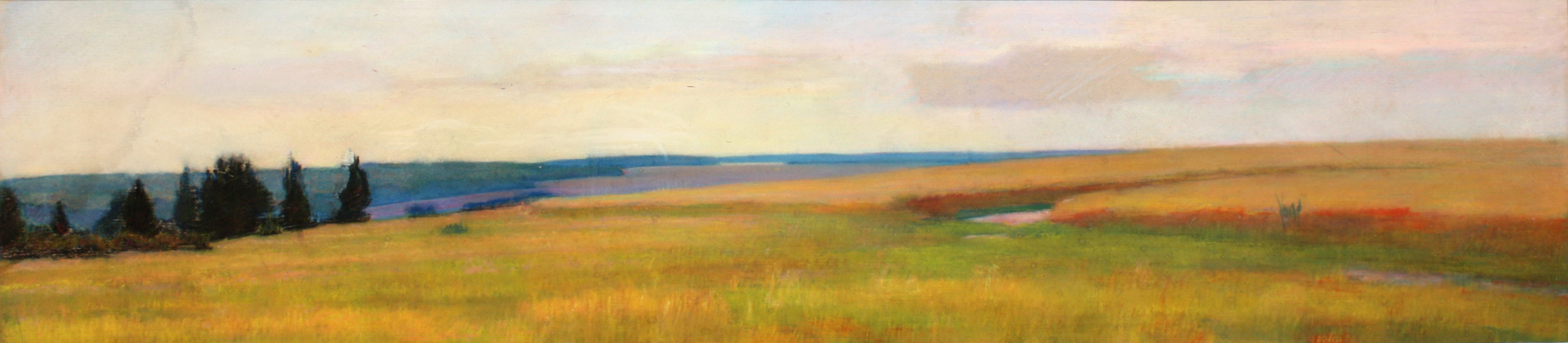 Хлеб зреет.