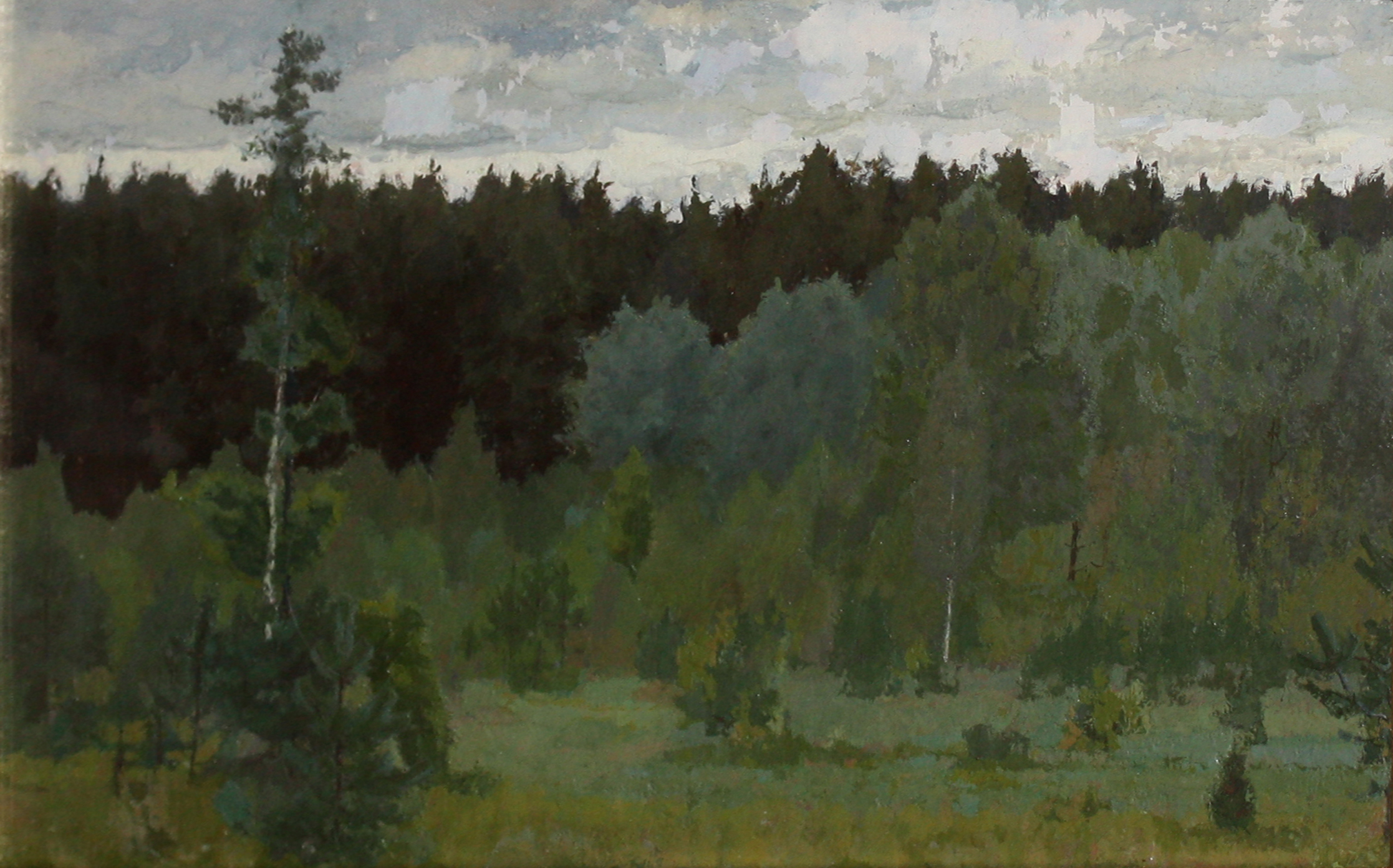 Сумерки. В зеленом лесу.