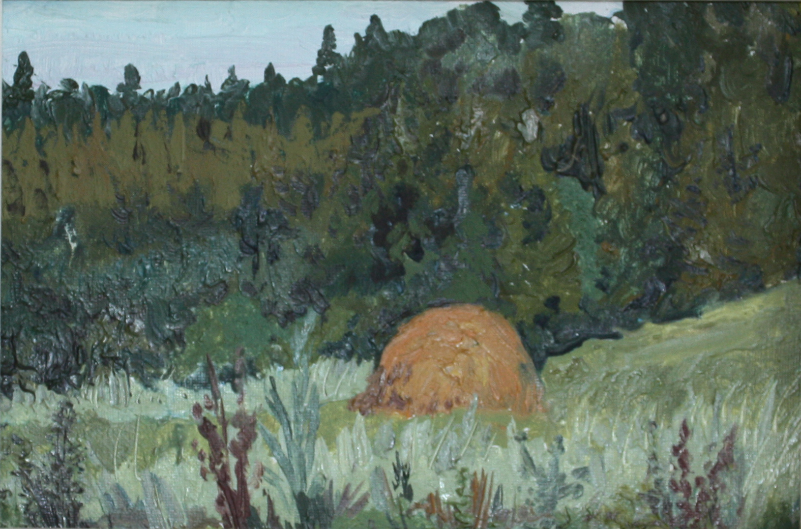 Лес. Стожок.