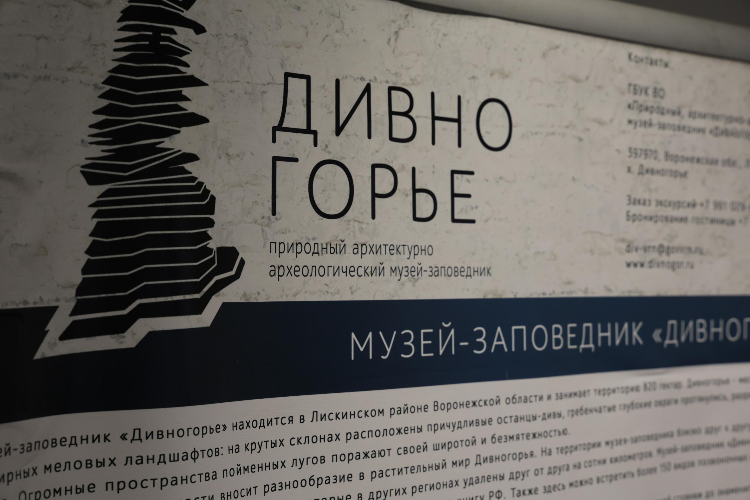 Выставка «Блеск тёмных веков»  из коллекции Природного архитектурно-археологического музея-заповедника «Дивногорье» (Во…