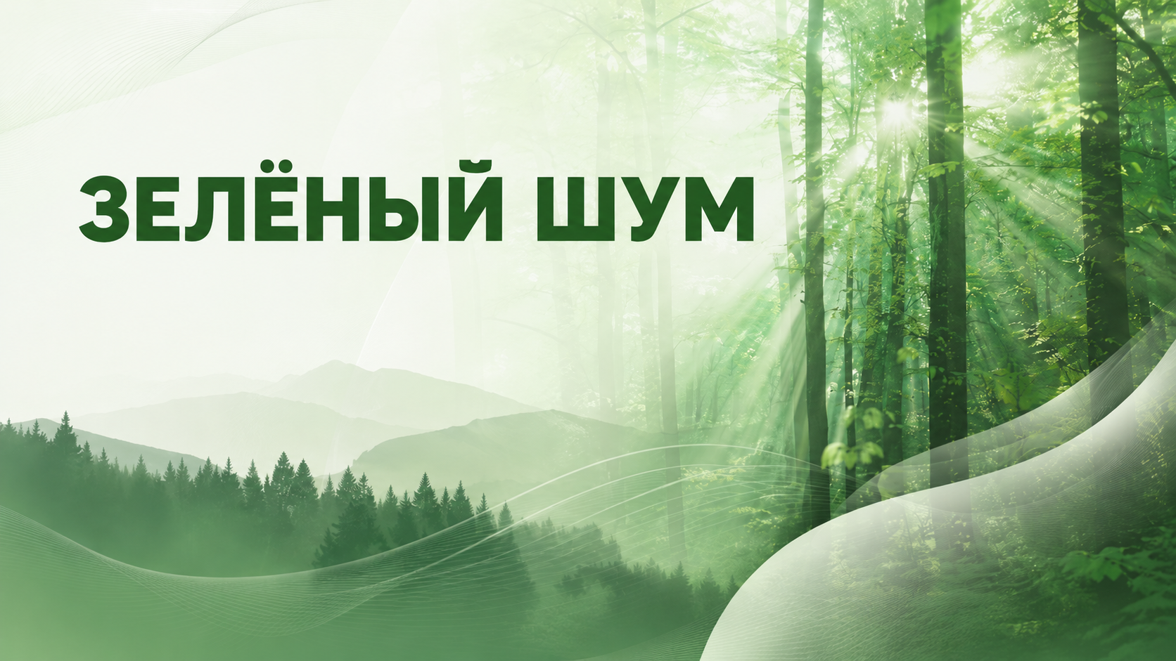 Пленэр "Зелёный шум"