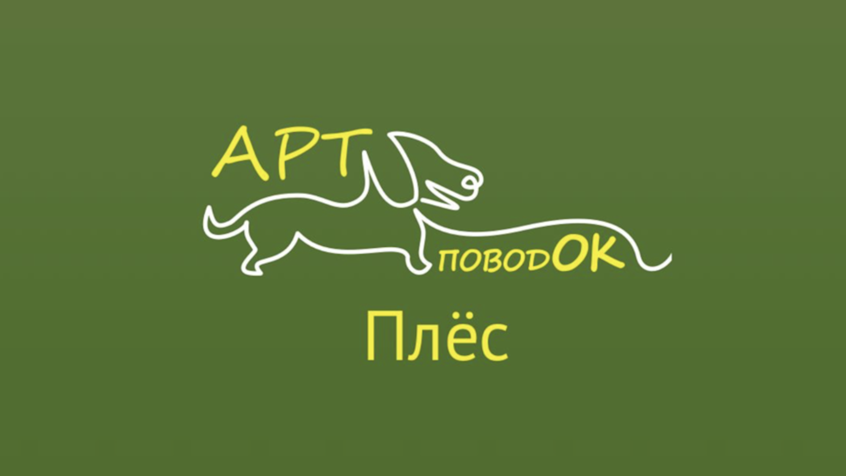 Проект Арт-поводОК Плёс