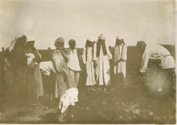 Фотография П. Покаржевского, 1910 г..png Фотография П. Покаржевского, 1910 г..png